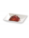 MINI ASSIETTE KOMODO 90