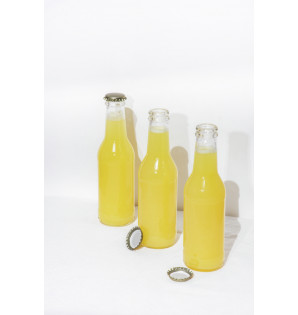 BOUTEILLE GINTO 20CL