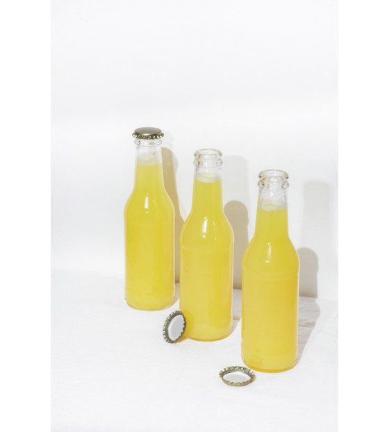 BOUTEILLE GINTO 20CL