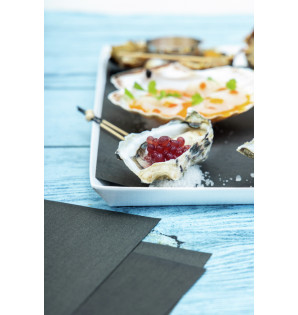 PLATEAU CATERLUX BLANC ATLAS 1/1