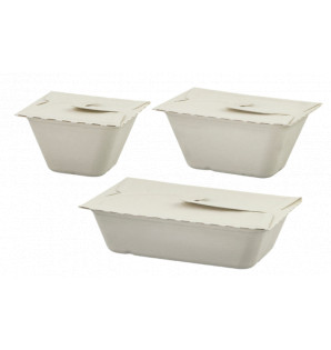 MEAL BOX 50CL