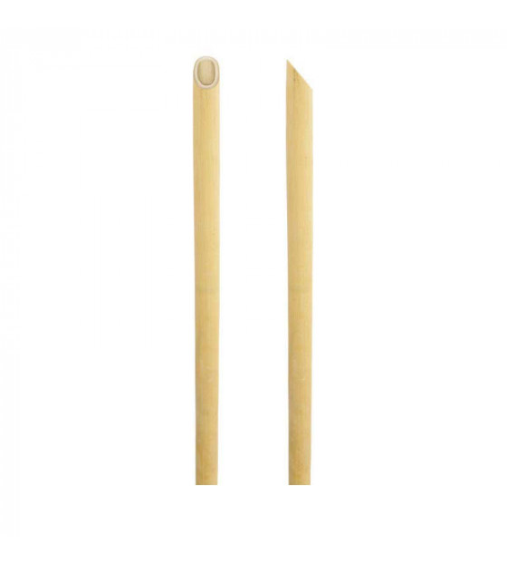 Paille en bambou biseautée h180