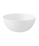 Bol bagasse Ola 30 cl