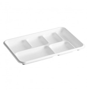 SNACK 6 BAGASSE MEAL TRAY