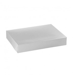 SILVER CATERING CASE