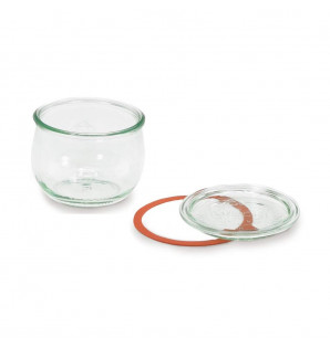GLASS TLUP + LID + RUBBER SEAL