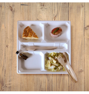 QUADRA BAGASSE MEAL TRAY