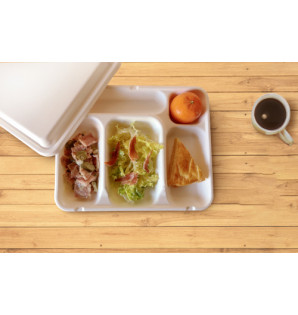 SNACK 5 BAGASSE MEAL TRAY