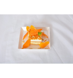 CUBIK BAGASSE PLATE
