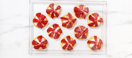 Fiche d’information sur le bambou