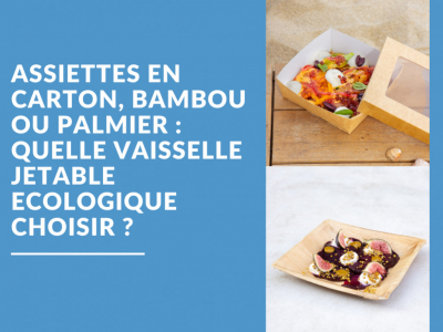Assiette en carton, bambou ou palmier : quelle vaisselle jetable écologique choi